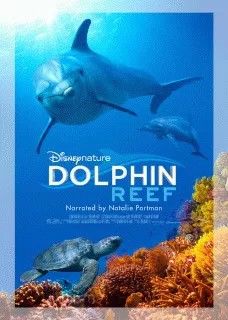 Дельфиний риф (2017)